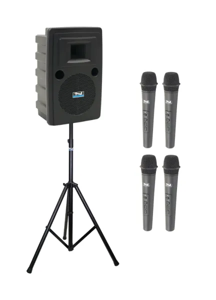 Enceinte Anchor Liberty 2 sur batterie